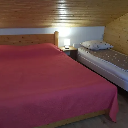 Guest house Casa De Vacanta Two Brothers Concept 3*